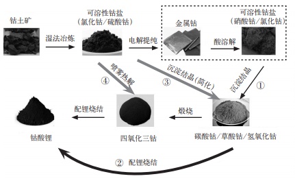 会游泳的锂